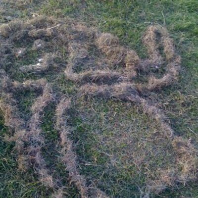 Profile Picture of Fay Adams (@fayadams1) on Twitter