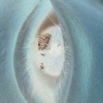 Profile Picture of raymon gonzalez (@brian1ahern) on Instagram