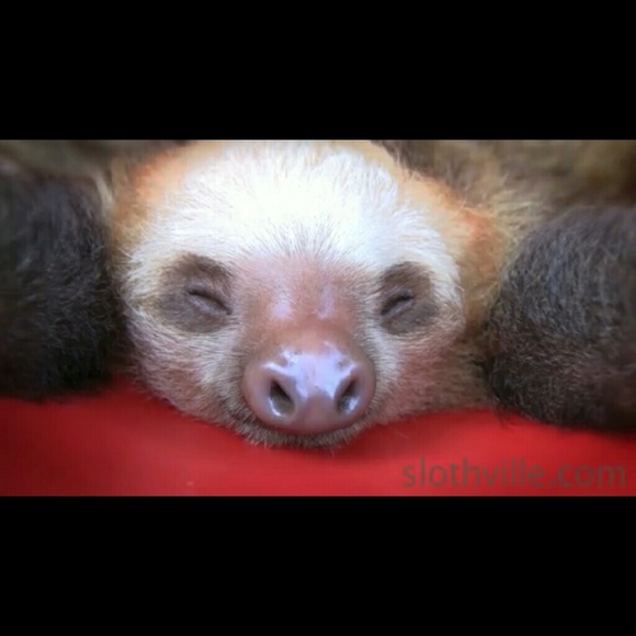 Profile Picture of Cassandra Padilla (@caz230) on Poshmark