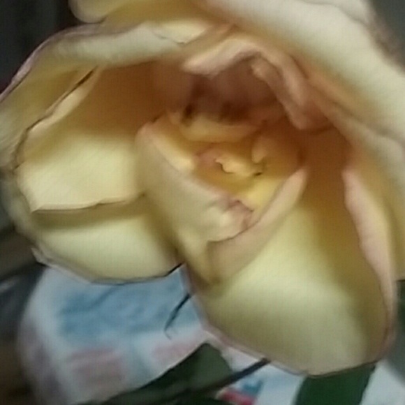 Profile Picture of Mary Nordman (@maryanne02) on Poshmark