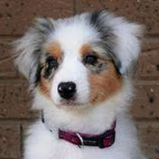 Profile Picture of Clare Harris (@ClareHarris-bp3qw) on Youtube