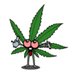 Profile Picture of Kevin Travis (@Supreme_hemp) on Twitter