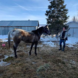 Profile Picture of Adrianne Tucker (@adrianne.tucker.3) on Facebook