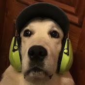 Profile Picture of Leo Linder (@Leo_linder) on Youtube