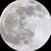 Profile Picture of 🐈‍⬛️ (@cathiiriine) on Tiktok