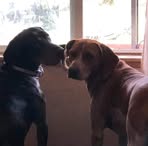 Profile Picture of Scott Conard (@scott.conard.338) on Facebook