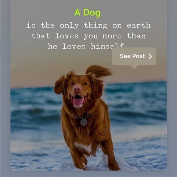 Profile Picture of Trish Mcquillan (@rubygirlposh) on Poshmark