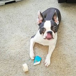 Profile Picture of Joseph Novello (@jnovello99) on Twitter