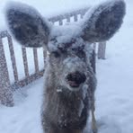 Profile Picture of Andrew Larson (@Andrew-Larson) on Facebook