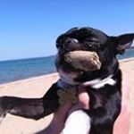 Profile Picture of John Stinehour (@john_stinehour) on Instagram