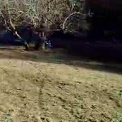 Profile Picture of Guy Horner (@gizmoguyh) on Youtube