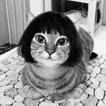 Profile Picture of garpit after eat (@tania.prestisinta) on Instagram