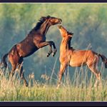 Profile Picture of Stanley Arnold (@stanley.arnold.3745) on Instagram