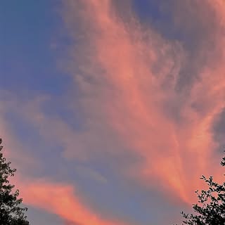 Profile Picture of Ryan Havlicek (@ryanhavlicek) on Instagram