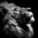 Profile Picture of jose Ruiz (@ch1qu1) on Flickr