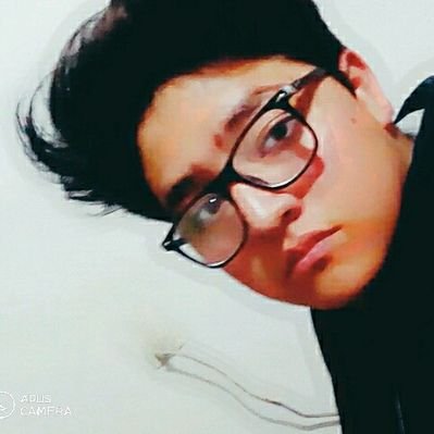 Profile Picture of Sean Fernando Palacios Monroy (@MonroySean) on Twitter