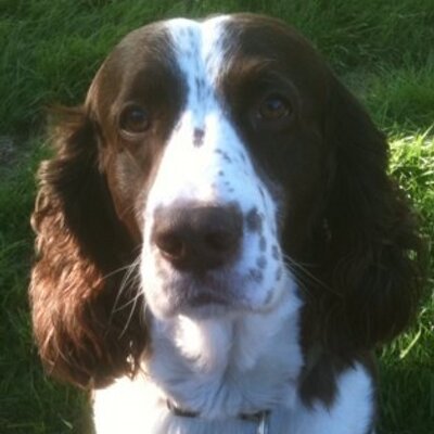 Profile Picture of Tim Shultz (@Tshultz74) on Twitter
