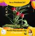 Profile Picture of Sruthy Joshy (@sruthy.ps.35) on Facebook