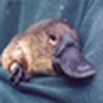 Profile Picture of Victor Hugo de Beraldini Felix (@Victor Hugo Felix) on Flickr