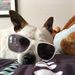 Profile Picture of Sierra Ruby (@sierraruby101) on Pinterest