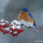 Profile Picture of Peter Christoph Photography (@peter_christoph_photography) on Instagram