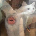 Profile Picture of mona lisa saperstein (@hydratewb0ngh20) on Instagram