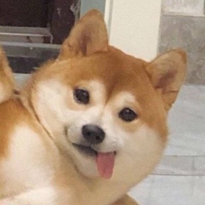 Profile Picture of Iris Cheung (@IrisCheung1997) on Twitter