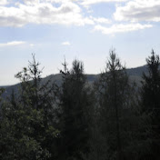 Max Schmid - Youtube Profile Picture of Max Schmid (@maxschmid1507) on Youtube