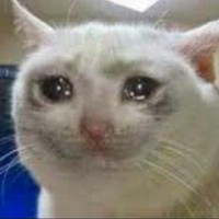 Profile Picture of Jaclyn Dunn (@jaclyn-dunn) on Quora