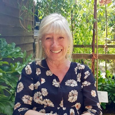 Profile Picture of Barbara Vincent (@BarbaraMHNurse) on Twitter