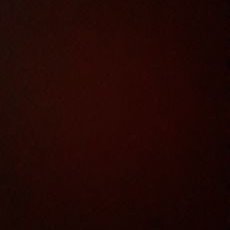 Profile Picture of Sean Luther (@sean99lut) on Twitter