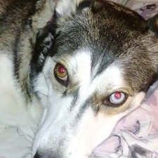 Profile Picture of Terry Mcbride (@TerryMc73577367) on Twitter