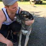 Profile Picture of Josh Doyle (@odoylerulesagain) on Instagram