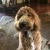 Profile Picture of Eddie Irvine (@eddie.irvine.58367) on Facebook