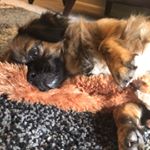 Profile Picture of Omar Baca (@baca270) on Instagram