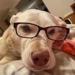 Profile Picture of Daniel Davis (@davisdannj) on Instagram