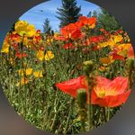 Heather Kendrick - Instagram Profile Picture of Heather Kendrick (@heatherkendrick837) on Instagram