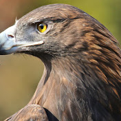 Profile Picture of Mina Abdelmalek (@minaabdelmalek4155) on Youtube