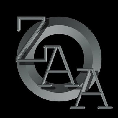 Profile Picture of Zaid Adib Ansari (@ProfZayd) on Twitter
