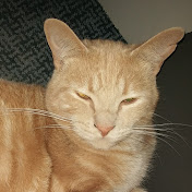 Profile Picture of Kevin Martens (@georgemartens1230) on Youtube