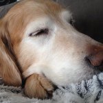 Profile Picture of Shawn Rahilly (@shawn_rahilly) on Instagram