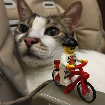 Adrian Fong - Twitter Profile Picture of Adrian Fong (@akmfong) on Twitter