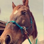 Profile Picture of McKenna Allen (@mckenna.allen.35) on Instagram