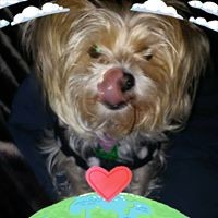 Profile Picture of Lisa Leyba (@lisa-leyba-2) on Quora