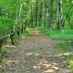 Profile Picture of Lori Haffenbredl (@lorihaffenbredl) on Instagram