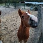 Profile Picture of jacob deel (@a_big_deel2) on Instagram