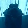 Profile Picture of alexander duenas (@@alexanderduenas) on Tiktok