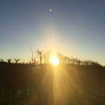 Profile Picture of Daniel Kirkman (@kirkman_spam) on Instagram