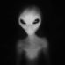 Profile Picture of Darren Wilde (@darren.wilde.90) on Facebook
