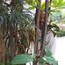 Profile Picture of Cedric Hall (@cedric.hall.374) on Facebook